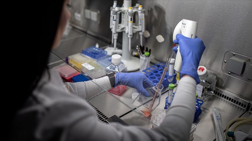 TÜİK: 2024 AR-GE Harcamaları ve Personel Dağılımı Üzerine Öne Çıkan Bulgular