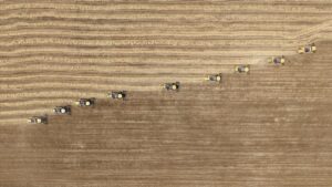 TÜİK Tarım-GFE Ağustos Verileri: Aylık ve Yıllık Değişimlerle İnceleme