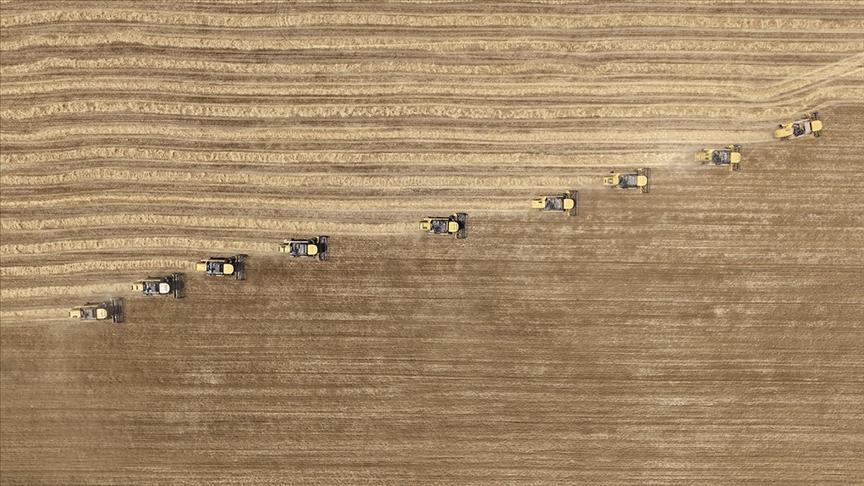 TÜİK Tarım-GFE Ağustos Verileri: Aylık ve Yıllık Değişimlerle İnceleme