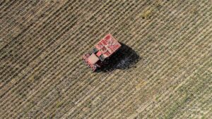 Türkiye Tarımsal Örgütler ve Yapılanmaları: Kooperatifler, Birlikler ve Desteklemeler