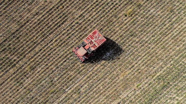 Türkiye Tarımsal Örgütler ve Yapılanmaları: Kooperatifler, Birlikler ve Desteklemeler