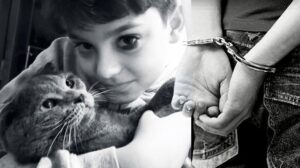 Türkiye’de Çocuk Adalet Sisteminde Yeni Perspektifler ve Öneriler