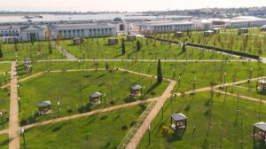 Türkiye’nin En Büyük Şehir Parkı: Atatürk Havalimanı Millet Bahçesi ve Afet Toplanma Alanı
