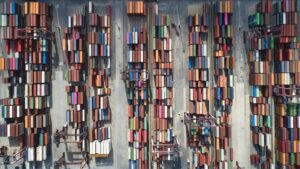 Türkiye’nin Hububat ve Bakliyat Sektörü: İhracatta Liderlik ve Fiyat İstikrarı