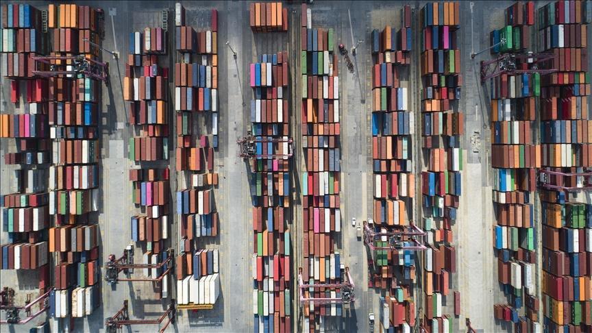 Türkiye’nin Hububat ve Bakliyat Sektörü: İhracatta Liderlik ve Fiyat İstikrarı