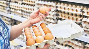 Yumurta Fiyatları: Yazdan Sonra Artışın Ardındaki Dinamikler ve Piyasa Beklentileri
