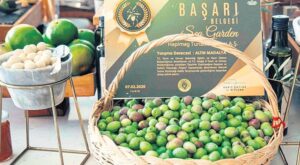 Zirve ve Yerel İstihdamın Sürdürülebilir İş Birliği Hikayesi