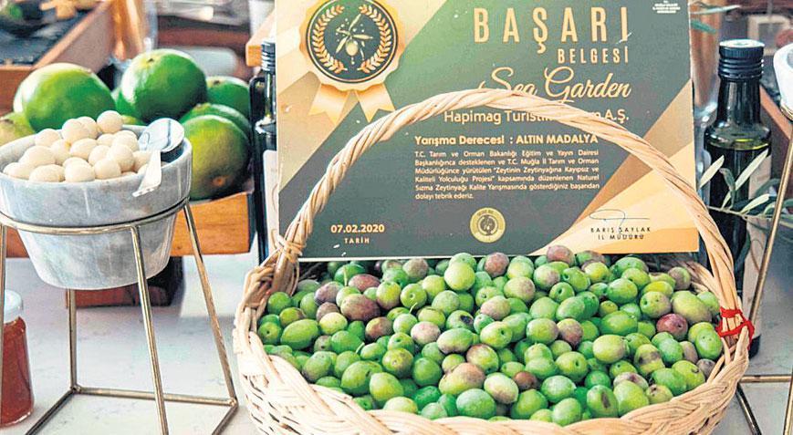 Zirve ve Yerel İstihdamın Sürdürülebilir İş Birliği Hikayesi