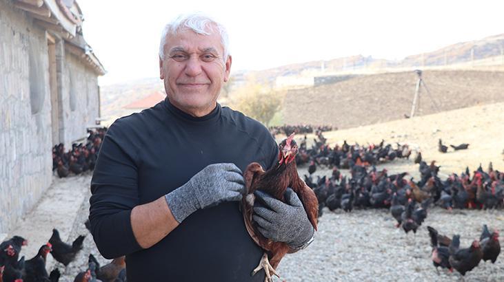 Açık Havada Yumurta Üreten Köyde Yeni Bir Umut: Ünal’ın 50 Dönümlük Organik Tavuk Çiftliği