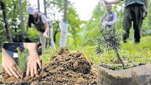 Aile Dostu Projelerle Yeşil Vatan Seferberliği: Bakanlar Yeni Bebekler İçin Fidan Sertifikalarını Takdim Etti