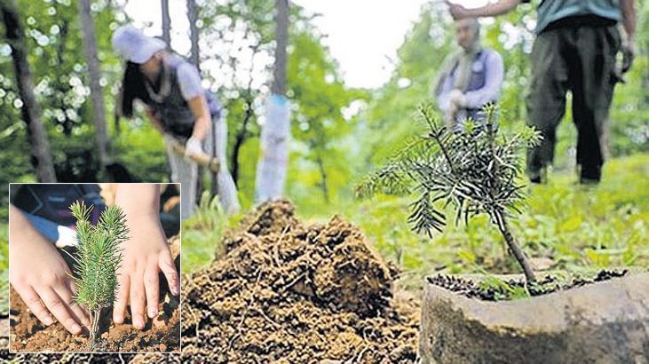 Aile Dostu Projelerle Yeşil Vatan Seferberliği: Bakanlar Yeni Bebekler İçin Fidan Sertifikalarını Takdim Etti
