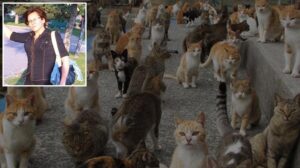 Başıboş Yangın Faciası: İzmir’de Hayvan Koruma Derneği Kurucusunun Evinde Üzücü Olay