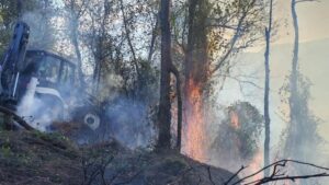 Başoba ve Yoldere Köyleri Arasındaki Orman Yangını: Yaklaşık 5 Hektar Zarar ve Yoğun Müdahale