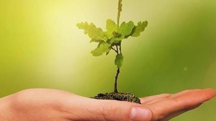 Belem Deklarasyonu Türkiye ve Küresel Yeşil Sanayileşme: Sanayi Dönüşümünün Stratejik Rolü