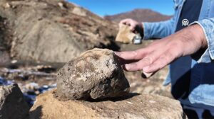 Bingöl’da Fosil Keşfi: 50 Milyon Yıllık Deniz Yaşamını İçeren Geçmişin İzleri