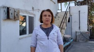 Çatıda Yuva Yapan Eşek Arılarından Gelen Tehlikenin Ardında Yaşananlar