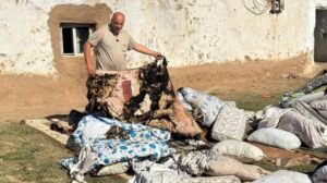 Ceylanpınar’da Yangın Kâbusu: Aile Komşularına Sığınmak Zorunda Kaldı