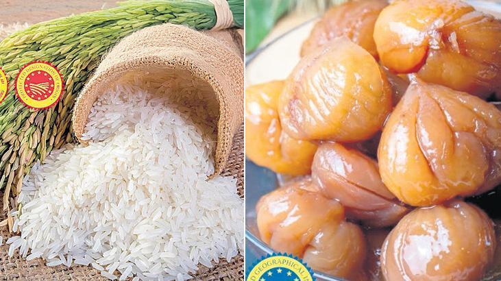 Coğrafi İşaretli Yerel Ürünlerin Global Yolculuğu: Türkiye’nin Tescilli Lezzetleri