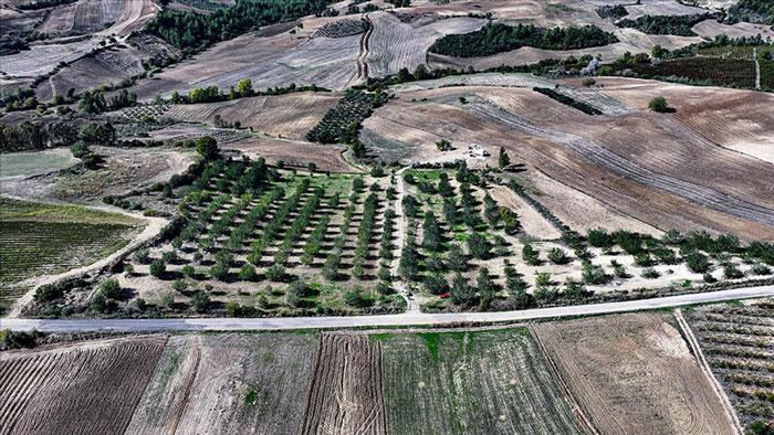 Çorak Arazide Yeşil Dönüşüm: Hüseyin Bebeç’in 18 Yıllık Tarımsal Serüveni