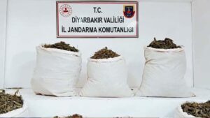 Diyarbakır Operasyonu: Uyuşturucu Ağlarına Karşı Tümgüçle Mücadele