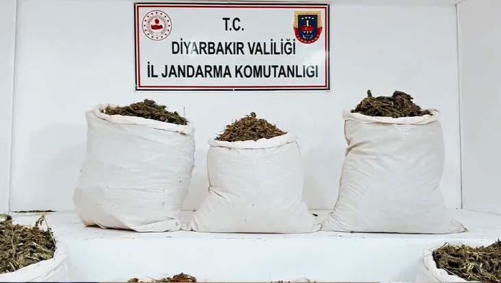 Diyarbakır Operasyonu: Uyuşturucu Ağlarına Karşı Tümgüçle Mücadele