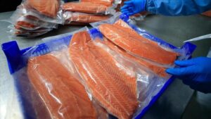 Doğu Karadeniz Sektöründe Türk Somonu İhracatında Avrupa ve Asya Pazarlarına Yönelik Yeni Stratejiler