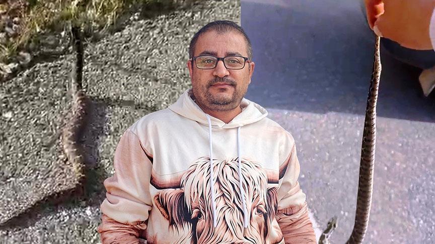 Engerek Yılanıyla Yaşanan Olayın Darağacı: Dağlarda Mantar Toplayan Vahim Anlar