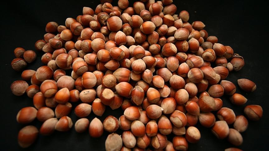 Fındık Piyasasında Adil Oyun ve Türkiye İçin Taahhütlerin Önemi: Rekabet Kurumu Başkanı Özeti