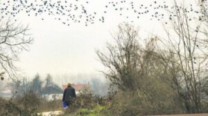 Fora: Aile, Bellek ve Erk Anlatısının mizahi-dokunaklı sahnesi