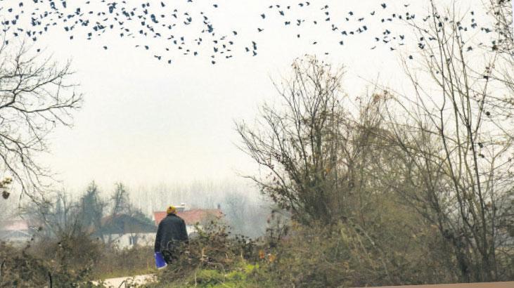 Fora: Aile, Bellek ve Erk Anlatısının mizahi-dokunaklı sahnesi