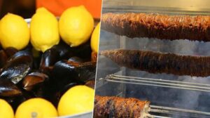 Gıda Zehirlenmeleri ve Sokak Lezzetlerinde Dikkat Edilmesi Gerekenler: Uzmanların Uyarıları