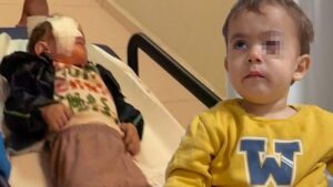 Görülemeyen Tehlike: Torpil Olayında Fırıncı ve Çocuklar Mağdur