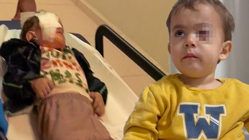 Görülemeyen Tehlike: Torpil Olayında Fırıncı ve Çocuklar Mağdur