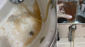 İSKİ Açıkladı: Ömerli–Çamlıca Hattında Geçici Bulanıklık ve Su Kalitesi Değerlendirmesi