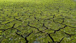İstanbul’un Baraj Doluluklarında Düşüş ve Kuraklık Tehdidi: Ömerli Örneği