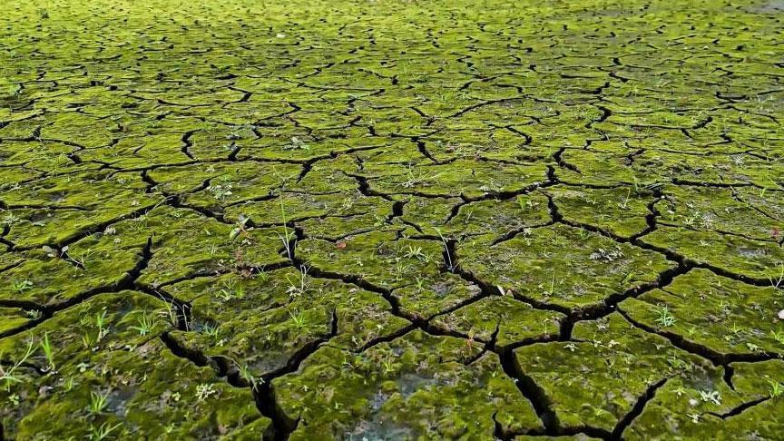 İstanbul’un Baraj Doluluklarında Düşüş ve Kuraklık Tehdidi: Ömerli Örneği