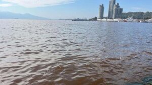 İzmir Körfezi’nde Pis Koku ve Koyu Kahverengi Renk Değişimi: Plankton Patlamasının İzleri