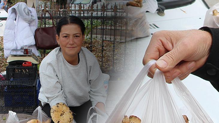 Kanlıca Mantarı: Kumluca’da Doğal Gelirin Damarında Toplanan Lezzet
