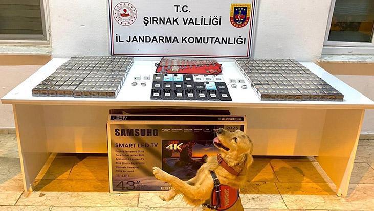 Kent Genelinde Gerçekleşen Kaçakçılık ve Uygulama Operasyonları – Sonuçlar ve Detaylar