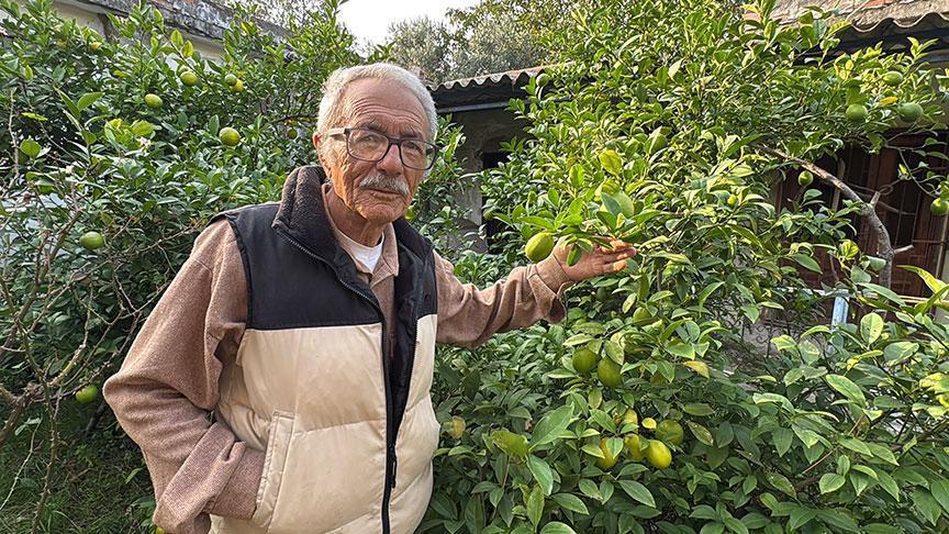 Kimyasal İlaçsız Meyve Bahçesi: Nedim Taflan’ın 54 Çeşitlik Organik Serüveni