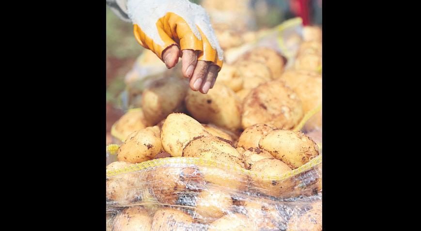 Kışlık Patates Depo Maliyeti ve Fiyat Dalgası: TZOB ve Ticaret Bakanlığı Açıklamaları