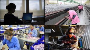 KİTİlerde İstihdam Profili ve Eğitim-Dil Yetkinlikleri 2023 Raporu Özeti