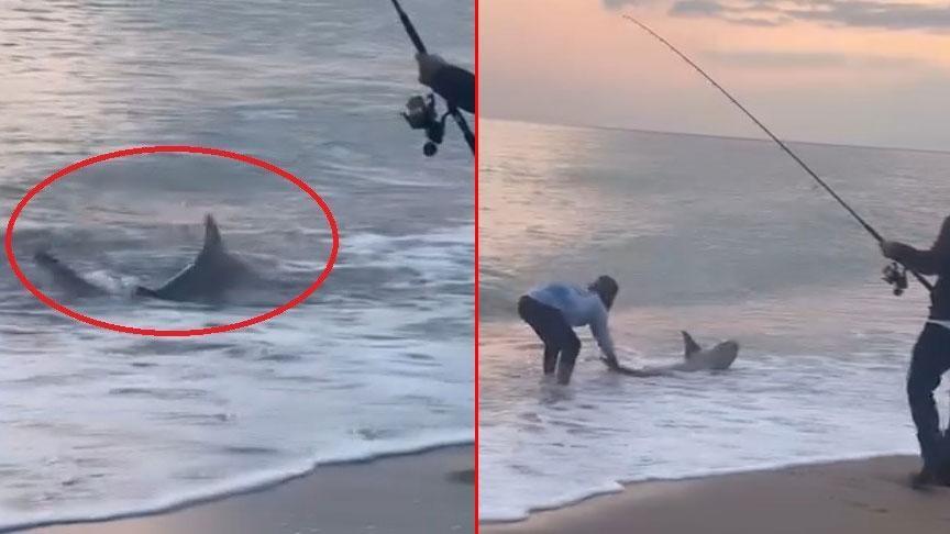 Kıyıda Sebepsiz Korku Yayan Köpek Balığı Görüntüleri Üzerine Uzman Görüşü
