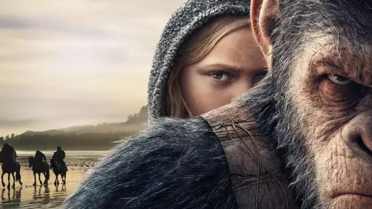 Öpüşmenin Evrimsel İzleri: Primatlar ve İnsanlarda Cinsel Davranışın Derin Kökleri