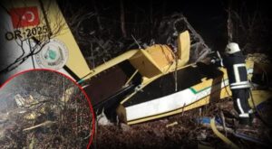 Orman Genel Müdürlüğü Uçağının Hırvatistan’da Düşmesi: Yetkililer ve Talepler