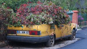 Park Halindeki Araba: Zamanla Doğaya Karışan Öykü ve Kaldırılma Anı