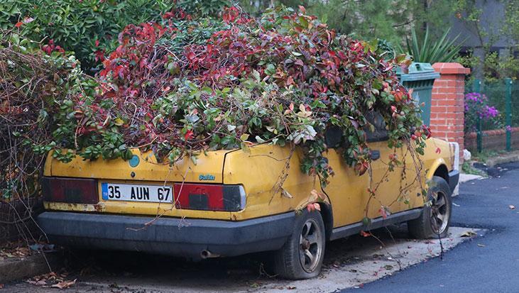 Park Halindeki Araba: Zamanla Doğaya Karışan Öykü ve Kaldırılma Anı