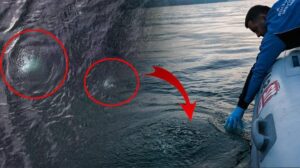 Sapanca Gölü’nde Kabarcık Olayı ve Su Kalitesi: Yetkililerden Net Açıklama