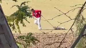 Sokak Köpeğine Yönelik Olay ve Sonrası: Soruşturma ve Barınak Açıklaması