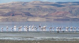 Su Yönetimi ve Belediyeler İçin Acil Planlar: Yatırım ve Ölçümde Yeni Dönem